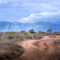 Buy canvas prints of Chyulu Hills in Tsavo National Park, Kenya by Sarah Paddison