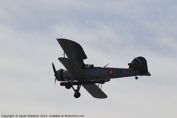 Silhouette of a Fairey Swordfish Picture Board by Sarah Paddison
