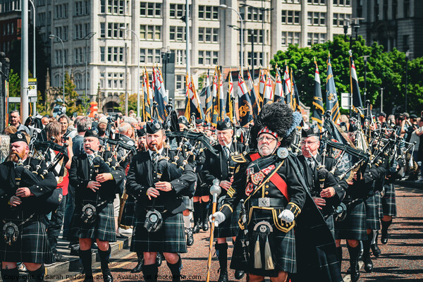 Scottish Pipers during a parade Picture Board by Sarah Paddison