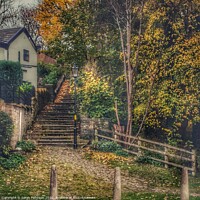 Buy canvas prints of Autumn view by Sarah Paddison