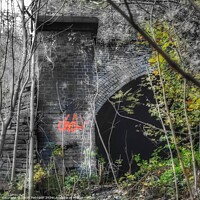 Buy canvas prints of Old train arch by Sarah Paddison