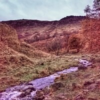 Buy canvas prints of River at Dovestones in Autumn by Sarah Paddison