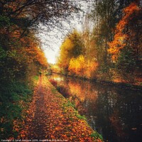 Buy canvas prints of View from Stalybridge down the Huddersfield Canal by Sarah Paddison