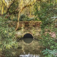 Buy canvas prints of Reflection of a bridge in a calm stream Cheethams Park Stalybridge by Sarah Paddison