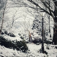 Buy canvas prints of Winter wonderland to Narnia by Sarah Paddison