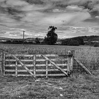 Buy canvas prints of Gate into a wheat field by Sarah Paddison