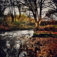 Buy canvas prints of Autumn River with reflecting shadows by Sarah Paddison