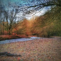 Buy canvas prints of Autum view of a Beach and River by Sarah Paddison