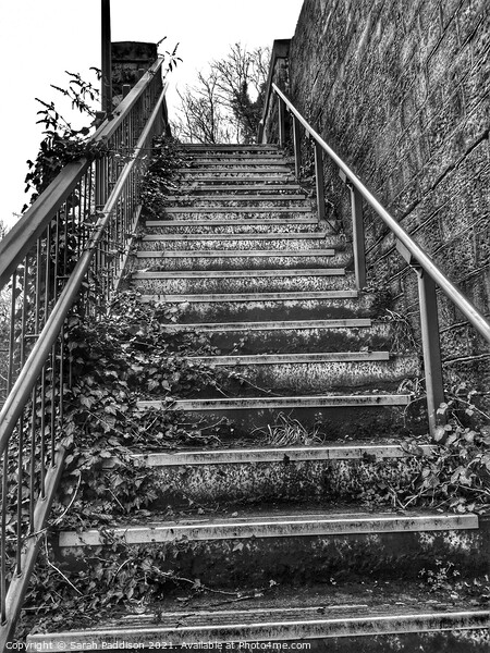Black and White view up railway steps Picture Board by Sarah Paddison