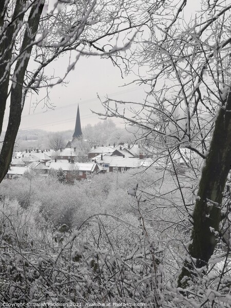 St James Church Millbrook in the snow Picture Board by Sarah Paddison
