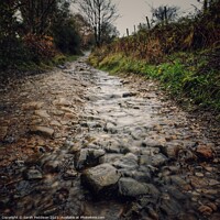 Buy canvas prints of A stream running down a cobbled path by Sarah Paddison