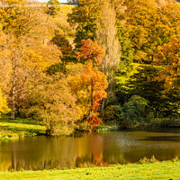 Buy canvas prints of An Autumn view of the lake at Minterne House and G by Roy Hornyak