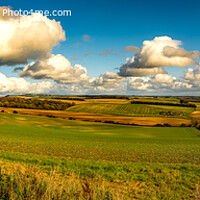 Buy canvas prints of A panoramic view of Dorset by Roy Hornyak