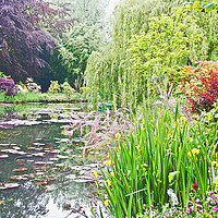 Buy canvas prints of Claude Monet gardens by Michael Smith