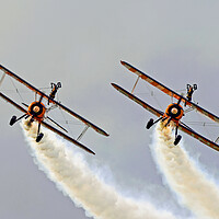 Buy canvas prints of Wing Walkers by Michael Smith