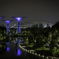 Buy canvas prints of  The Spectacular Gardens by the Bay! by Fiona Turnbull
