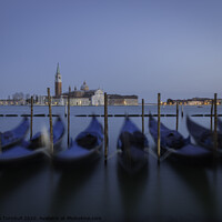 Buy canvas prints of Blue sunset over the Grand Canal, Venice by Fiona Turnbull