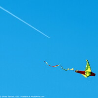 Buy canvas prints of Let's Go Fly a Kite by Sheila Eames