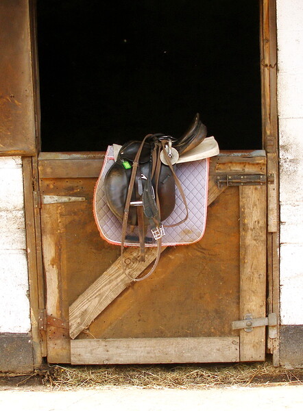 Tack on the Stable Door Picture Board by Sheila Eames