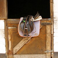 Buy canvas prints of Tack on the Stable Door by Sheila Eames