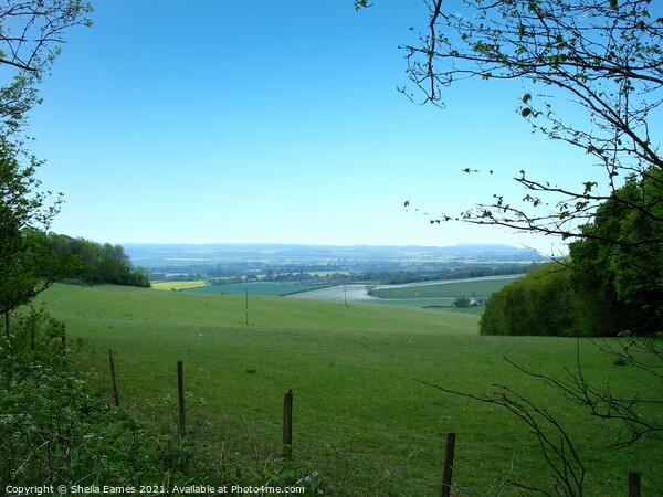 The View across Kent and Sussex Picture Board by Sheila Eames