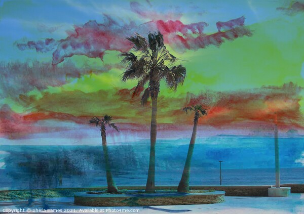 Summer Heat with Palm Trees Picture Board by Sheila Eames