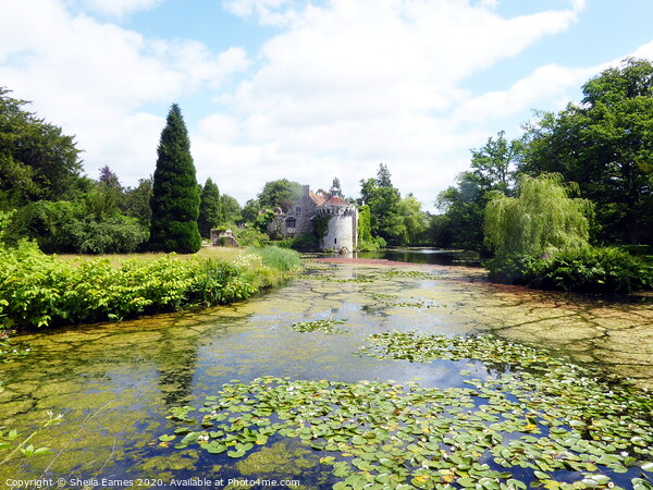 Old Scotney Castle, with its Moat and Gardens Picture Board by Sheila Eames