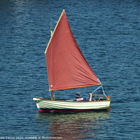 Buy canvas prints of Red Sail Solitude by Sheila Eames