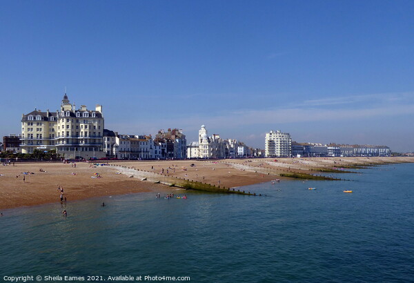 Eastbourne beachfront and hotels Picture Board by Sheila Eames