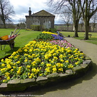Buy canvas prints of Flower Bed at Knaresborough Castle Gardens by Sheila Eames