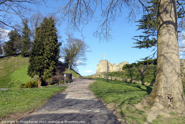 Path to Tonbridge Castle  Picture Board by Sheila Eames