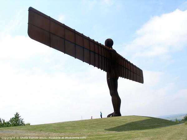 The Angel of the North Picture Board by Sheila Eames