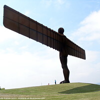 Buy canvas prints of The Angel of the North by Sheila Eames