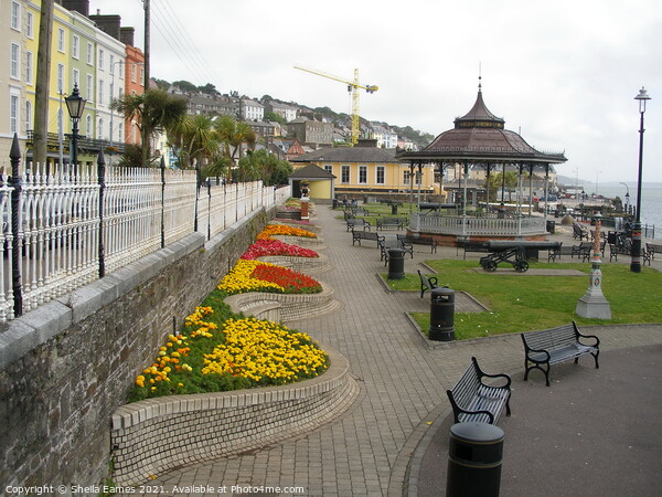 Cobh Seafront and Bandstand Picture Board by Sheila Eames
