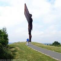 Buy canvas prints of Angel of the North, Gateshead by Sheila Eames