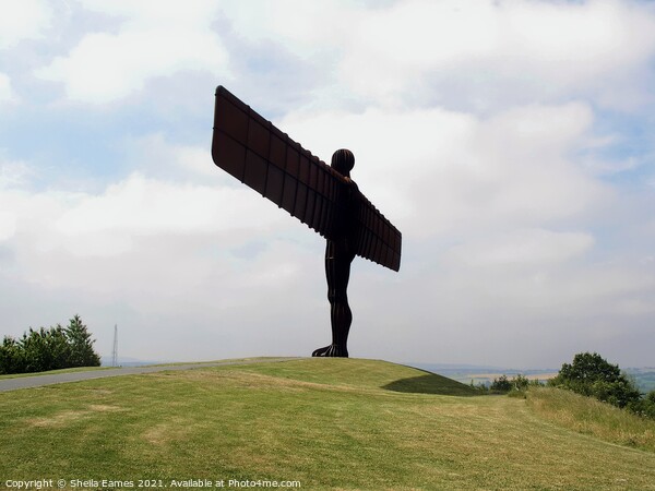 Angel of the North  Picture Board by Sheila Eames