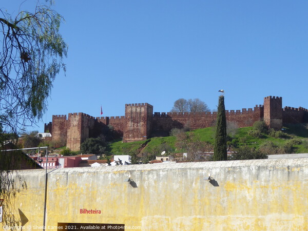 Silves Fort in Portugal Picture Board by Sheila Eames