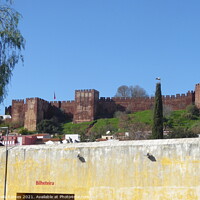 Buy canvas prints of Silves Fort in Portugal by Sheila Eames