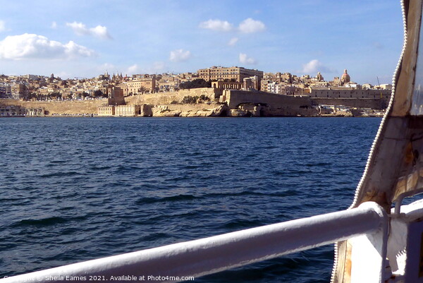 Valletta, Malta, from a harbour boat Picture Board by Sheila Eames