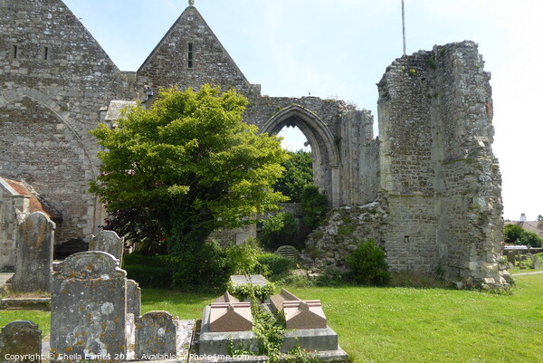 St. Thomas the Martyr Church Ruins in Winchelsea, Sussex, England Picture Board by Sheila Eames