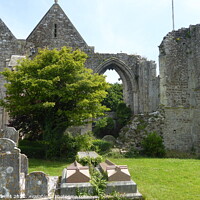 Buy canvas prints of St. Thomas the Martyr Church Ruins in Winchelsea, Sussex, England by Sheila Eames
