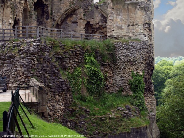 Knaresborough Castle on the Hill Picture Board by Sheila Eames