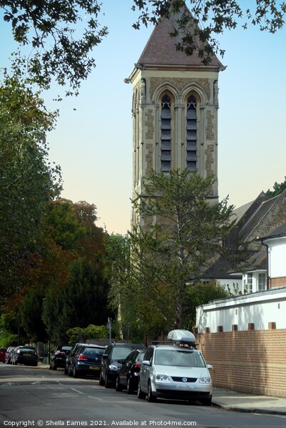 Anglican Church Tower in East Sheen, Surrey Picture Board by Sheila Eames