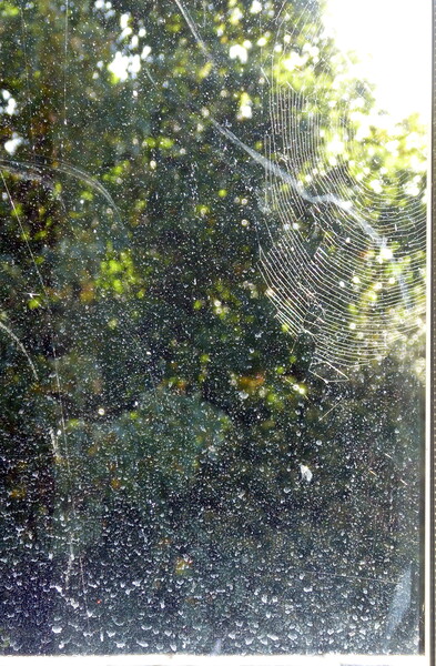 Rain on the Window, or Alien Space Picture Board by Sheila Eames