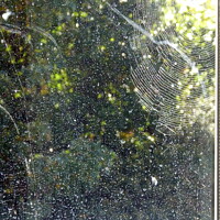 Buy canvas prints of Rain on the Window, or Alien Space by Sheila Eames