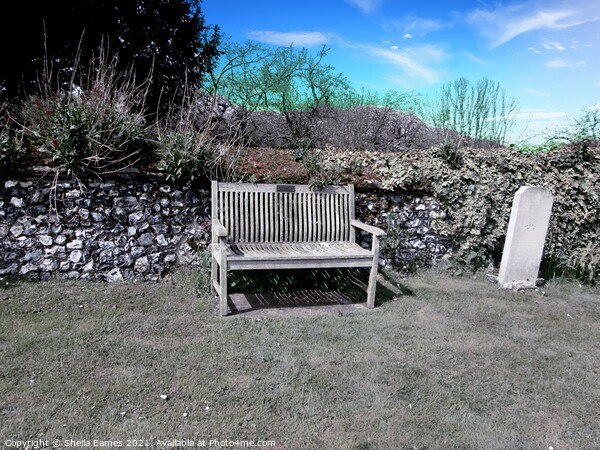The Resting Bench at the Church in Newington  Picture Board by Sheila Eames