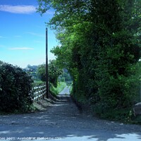 Buy canvas prints of The Country Lane in Newington  by Sheila Eames