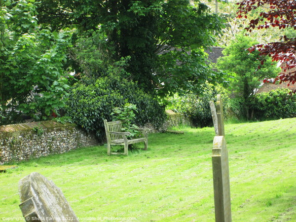 The Memory Bench in the Church Garden.  Picture Board by Sheila Eames