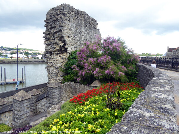 River, City Wall and Garden at Rochester, Kent Picture Board by Sheila Eames