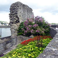 Buy canvas prints of River, City Wall and Garden at Rochester, Kent by Sheila Eames